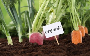 Organic-vegetables